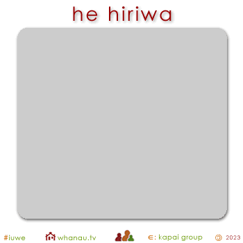 01610 hiriwa - gray silver 01