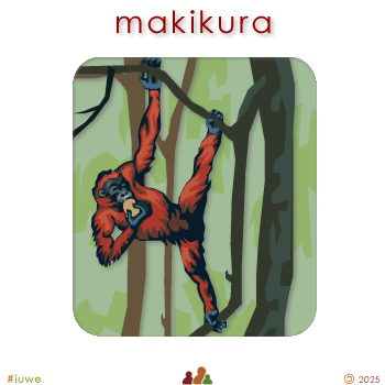 w00394_01 makikura - orangutan