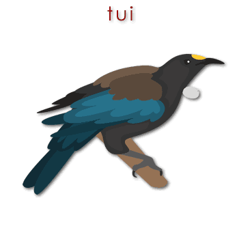 03319 tui - parson bird 01