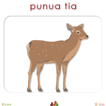w01418_01 punua tia - fawn