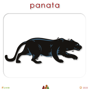 w00440_01 panata - panther