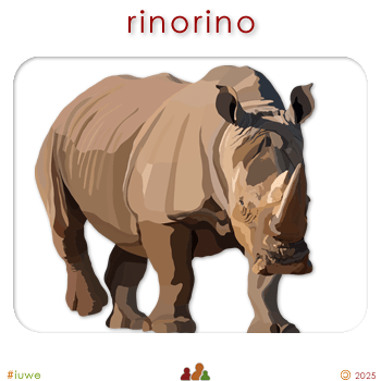 w00524_01 rinorino - rhinoceros