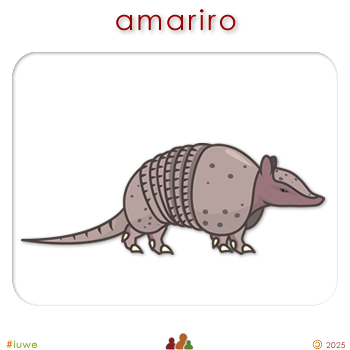 w00307_01 amariro - armadillo