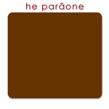 w01574_01 parāone - brown chocolate