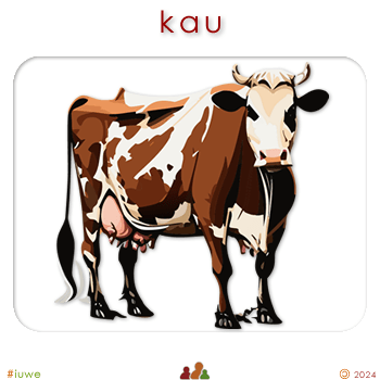w00184_04 kau - cow