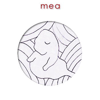 00072 mea - thing 01