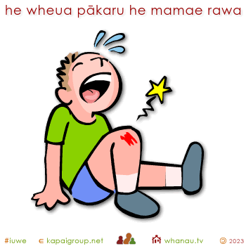 20440 he wheua pākaru he mamae rawa - a broken bone is really painful 01