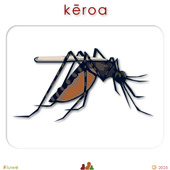 w02581_01 kēroa - mosquito