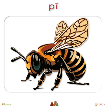 w00471_02 pī - bee