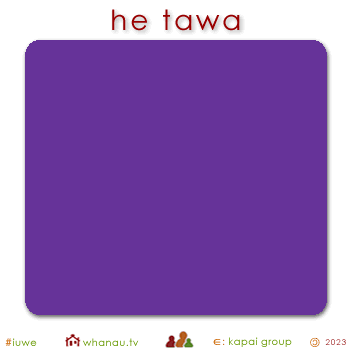 01605 tawa - purple 01