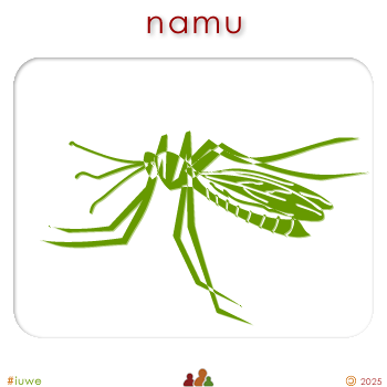w03244_01 namu - sandfly