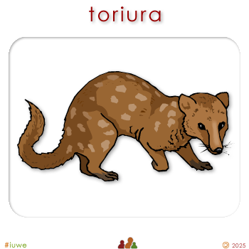 w00557_02 toriura - stoat