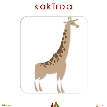 w00352_02 kakīroa - giraffe