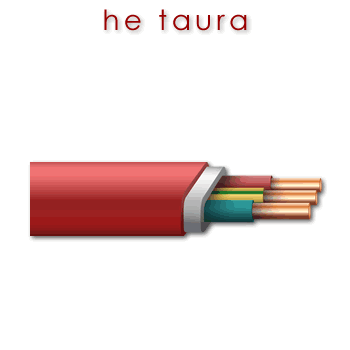 w00647_01 taura - cable