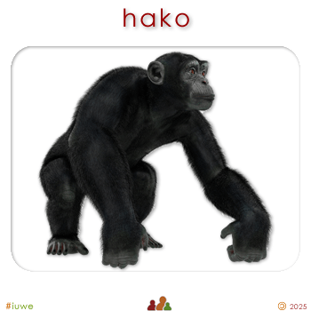 w09115_01 hako - monkey