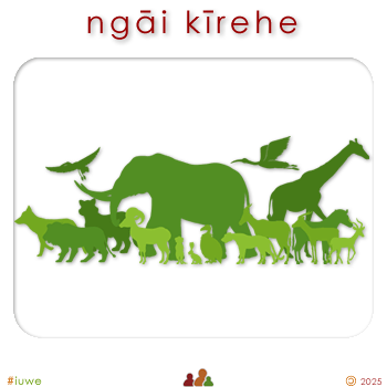 w04491_01 ngāi kīrehe - fauna