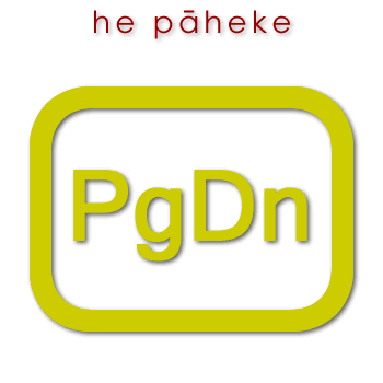 w02899_01 pāheke - page down key